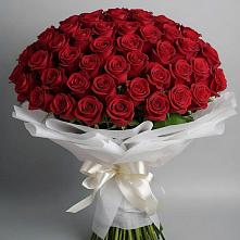 Букет 101 Красная роза Блэк Мэджик #REPLACE_PRED# Литвиново
