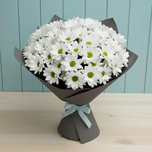 Букет цветов из:  Хризантемы в Литвиново