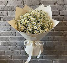 Букет цветов из:  Ромашки #REPLACE_PRED# Литвиново