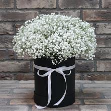 Цветочная композиция из Гипсофила в шляпной коробке #REPLACE_PRED# Литвиново