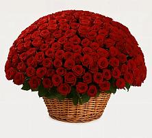 Премиум букет из: Розы #REPLACE_PRED# Литвиново